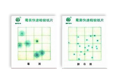 霉菌、酵母菌測試片